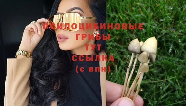 тгк Кинешма