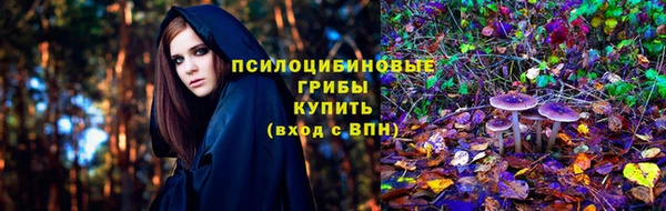 тгк Кинешма